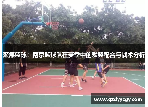 聚焦篮球：南京篮球队在赛季中的默契配合与战术分析