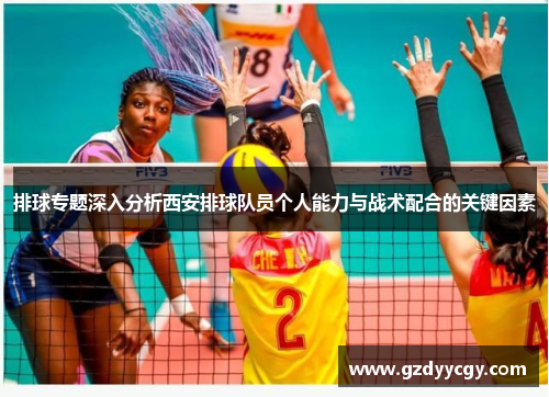 排球专题深入分析西安排球队员个人能力与战术配合的关键因素