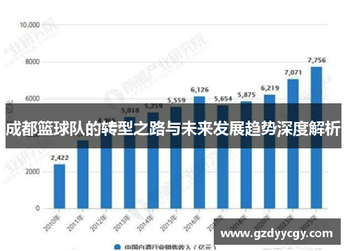成都篮球队的转型之路与未来发展趋势深度解析