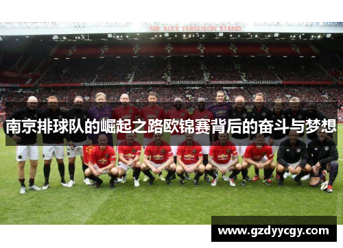 南京排球队的崛起之路欧锦赛背后的奋斗与梦想